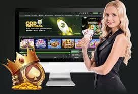 venus casino